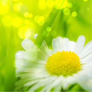 偷拍精偷拍亚洲精品成人三区
