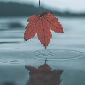 偷拍精偷拍亚洲精品成人三区
