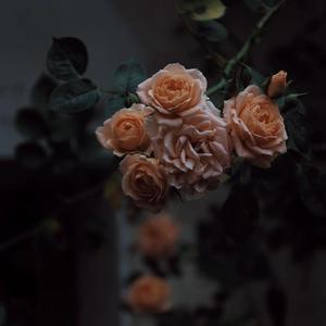 偷拍精偷拍亚洲精品成人三区
