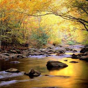 偷拍精偷拍亚洲精品成人三区
