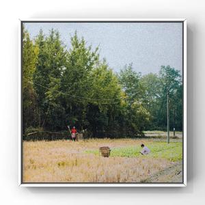 偷拍精偷拍亚洲精品成人三区
